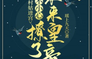 (无弹窗)小说村姑进宫：一不小心撩了未来皇帝 作者瑶上九天