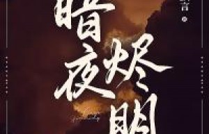 暗夜烬明主角是陆安若季瑄小说百度云全文完整版阅读