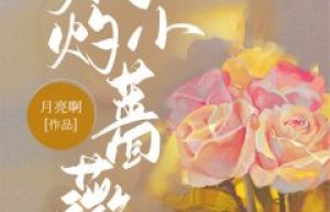 鹿欢傅臻是哪本小说主角 《灼灼小蔷薇》免费全章节阅读