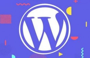 WordPress如何开启隐藏的“全部设置”选项