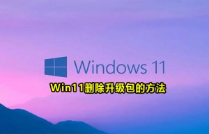 Win11如何删除升级包 Win11更新包删除教程