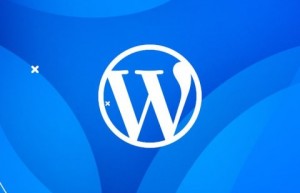 WordPress如何使用WP_Query来查询文章标题