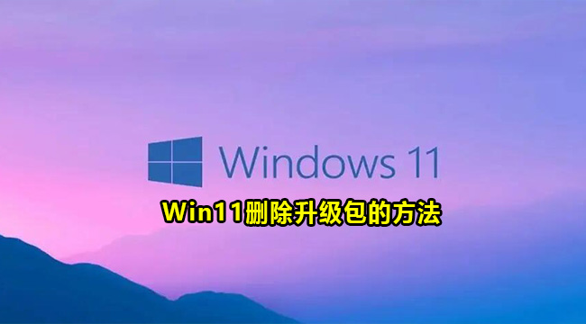 Win11如何删除升级包 Win11更新包删除教程插图