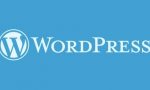 WordPress如何实现搜索结果显示指定的文章分类缩略图