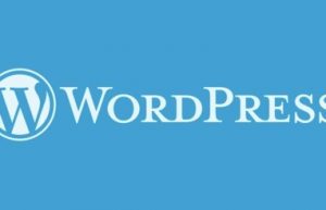 WordPress如何实现搜索结果显示指定的文章分类缩略图