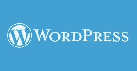 WordPress如何实现搜索结果显示指定的文章分类插图
