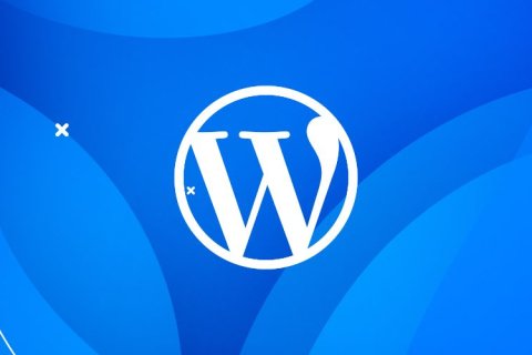 WordPress如何使用WP_Query来查询文章标题插图