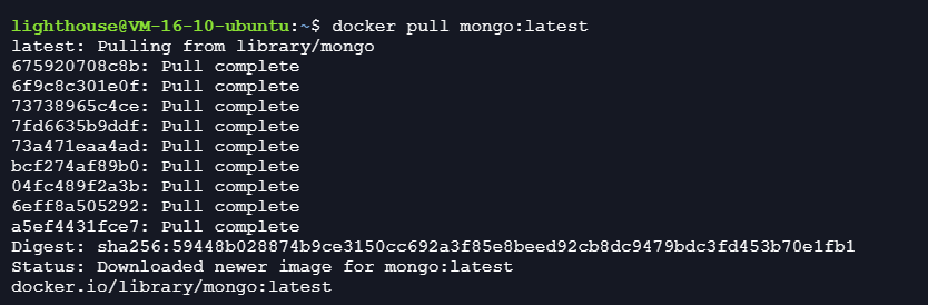 Docker安装MongoDB并使用Navicat连接的操作方法插图2