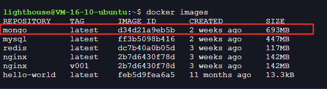 Docker安装MongoDB并使用Navicat连接的操作方法插图3
